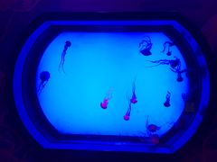 -沈阳海洋探索中心