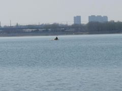 -丁香湖公园