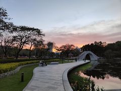 -金砂公园