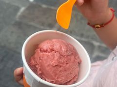 -iceason爱茜茜里·意大利健康冰淇淋(骑龙巷店)