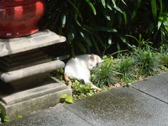 -广州兰圃