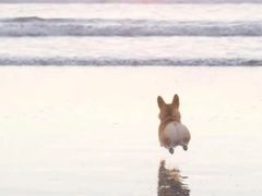 -津乐园(芥园道店)