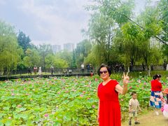 -沐仙湖湿地公园