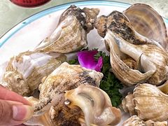 -红月湾海鲜饭店•沙滩海景(双月湾店)