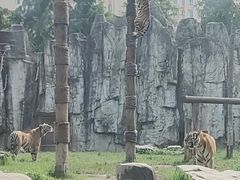 -上海野生动物园