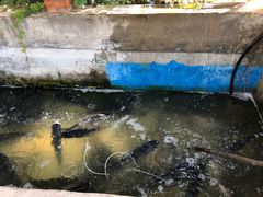 -姥家大锅台水库渔家