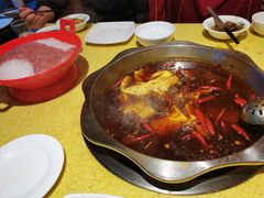 -田鸭肠·非遗火锅(彭州店)