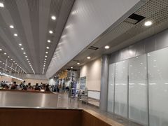 -谢列梅捷沃国际机场