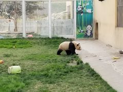 -西安秦岭野生动物园