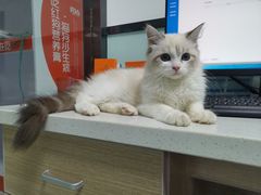 -嘉馨宠物医院·CT影像转诊·心脏科·犬猫全科诊疗中心(下沙大学城院区)