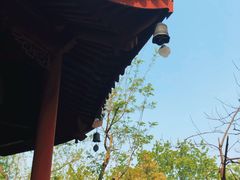 -汇龙潭