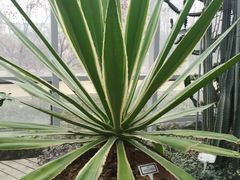 -郑州植物园