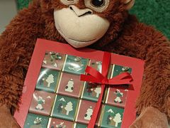 -Laderach 莱德拉(上海环贸iapm店)