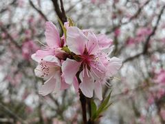 -苏州上方山国家森林公园