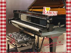 -柏斯音乐艺术中心·钢琴·吉他(上音店)