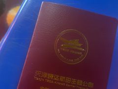 -泰达航母主题公园