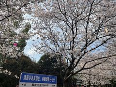 -堤角公园