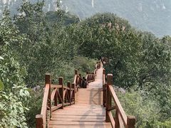 -大岭沟猕猴桃谷风景区