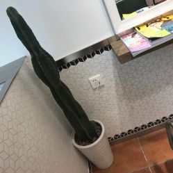 -mano a mano日本美发沙龙