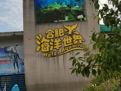 -合肥海洋世界