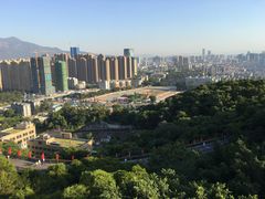 -金鸡山公园
