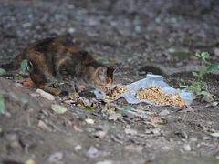 -苏州河梦清园环保主题公园