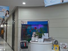 -雅悦齿科(顾村公园店)