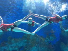 -芜湖新华联大白鲸海洋公园