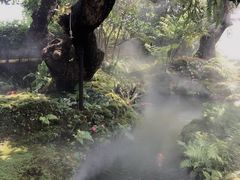 -Chom Cafe and Restaurant