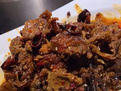 -守柴炉烤鸭(科华中路王府井店)