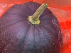 -海底捞火锅(万象城店)