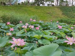-莫子山公园
