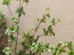 -翁暖茶馆(滨江东总店)
