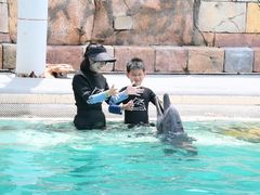 -新加坡水上探险乐园