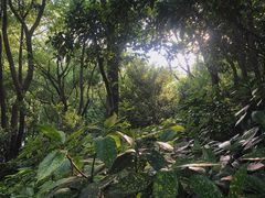 -杭州半山国家森林公园