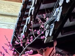 -上海财神庙