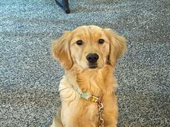 -FUTURE LOUNGE(太古里店)