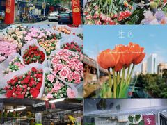 -溪岸路花鸟市场