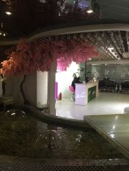 -Sunny喜铺婚礼策划(东部店)