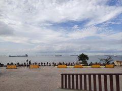 -上海滨江森林公园