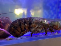 -映像威海·威海宴(威高广场店)