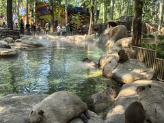 -北京野生动物园