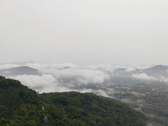 -呀诺达热带雨林