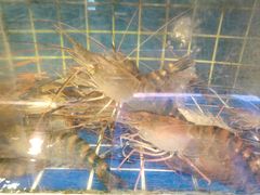 -三个渔夫·蒸汽海鲜(小白楼店)