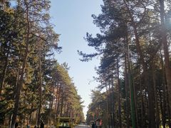 -黑龙江省森林植物园