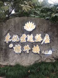 -东航云逸酒店·宴会厅