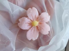 春日樱花白桃软欧包-奈雪的茶(中海环宇荟店)