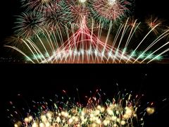 -南宁花花大世界景区