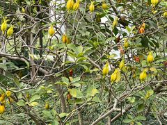 -广州神农草堂中医药博物馆