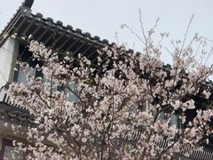 -花博汇(知音花月夜)